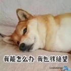 夏天都結束了，你為什么還沒買金相拋光布？